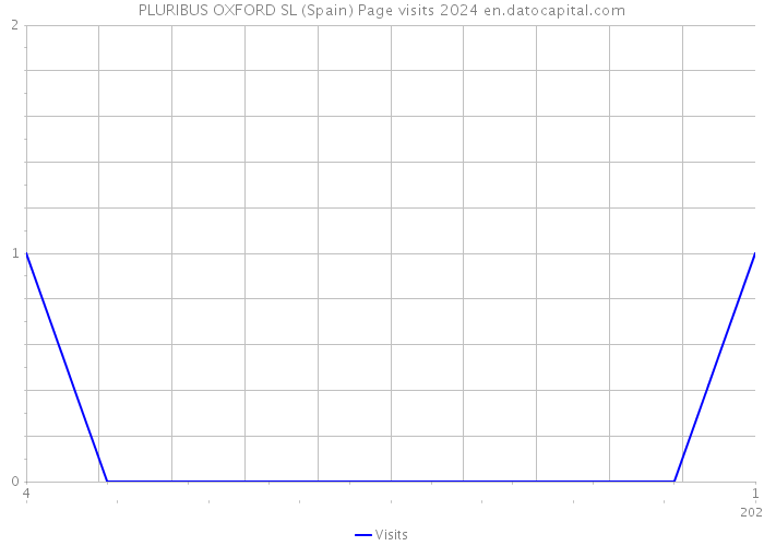 PLURIBUS OXFORD SL (Spain) Page visits 2024 
