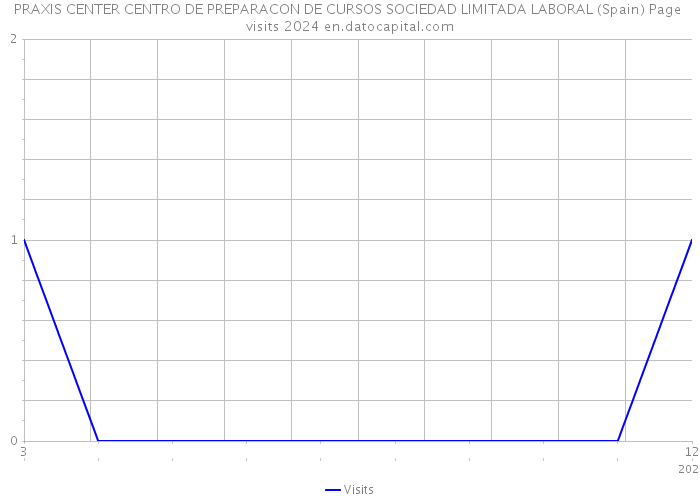 PRAXIS CENTER CENTRO DE PREPARACON DE CURSOS SOCIEDAD LIMITADA LABORAL (Spain) Page visits 2024 