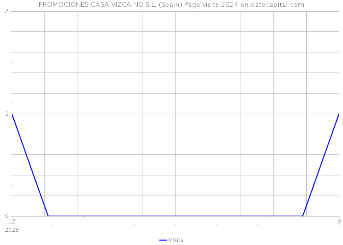 PROMOCIONES CASA VIZCAINO S.L. (Spain) Page visits 2024 