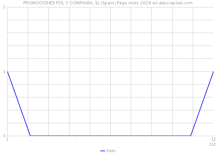 PROMOCIONES POL Y COMPANIA, SL (Spain) Page visits 2024 