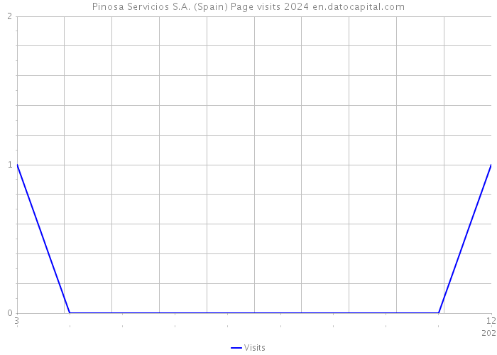 Pinosa Servicios S.A. (Spain) Page visits 2024 