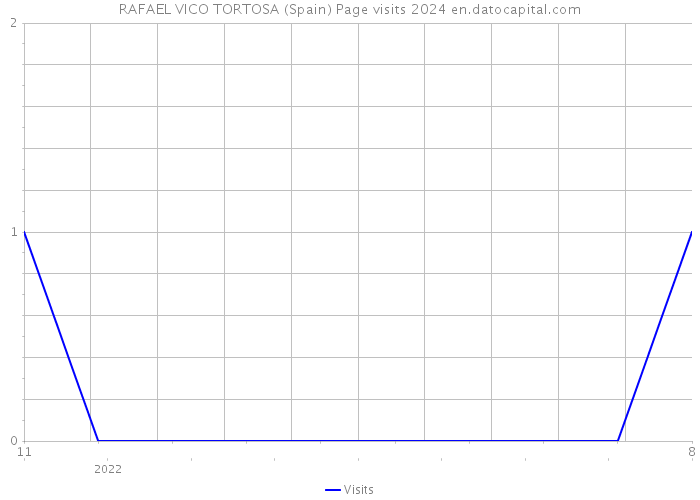 RAFAEL VICO TORTOSA (Spain) Page visits 2024 