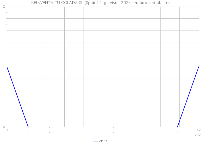 REINVENTA TU COLADA SL (Spain) Page visits 2024 