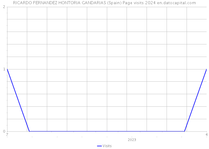 RICARDO FERNANDEZ HONTORIA GANDARIAS (Spain) Page visits 2024 