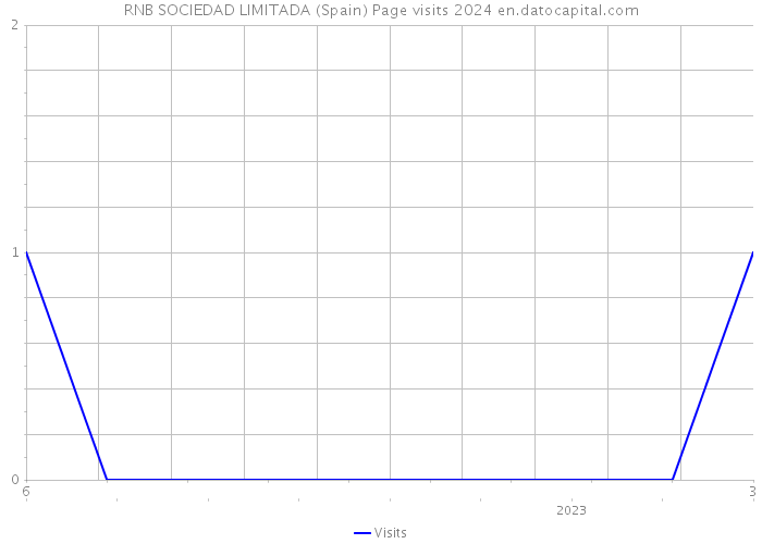 RNB SOCIEDAD LIMITADA (Spain) Page visits 2024 