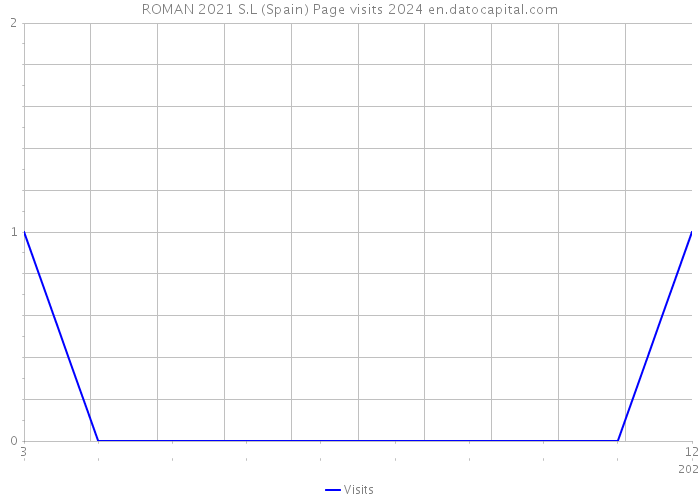 ROMAN 2021 S.L (Spain) Page visits 2024 