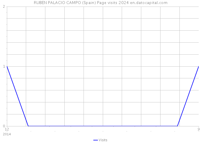 RUBEN PALACIO CAMPO (Spain) Page visits 2024 
