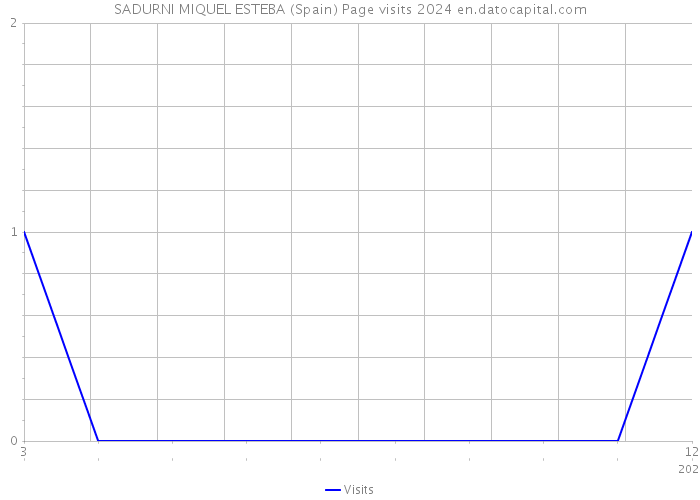 SADURNI MIQUEL ESTEBA (Spain) Page visits 2024 