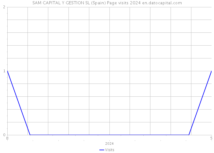 SAM CAPITAL Y GESTION SL (Spain) Page visits 2024 
