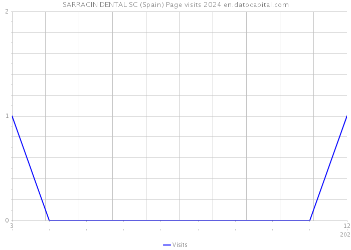 SARRACIN DENTAL SC (Spain) Page visits 2024 