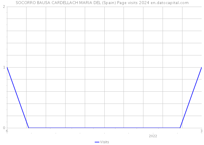 SOCORRO BAUSA CARDELLACH MARIA DEL (Spain) Page visits 2024 