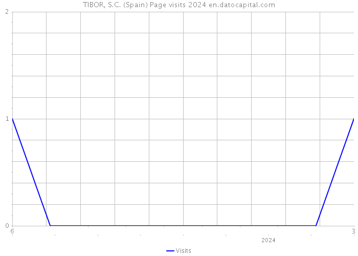 TIBOR, S.C. (Spain) Page visits 2024 