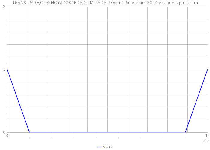 TRANS-PAREJO LA HOYA SOCIEDAD LIMITADA. (Spain) Page visits 2024 