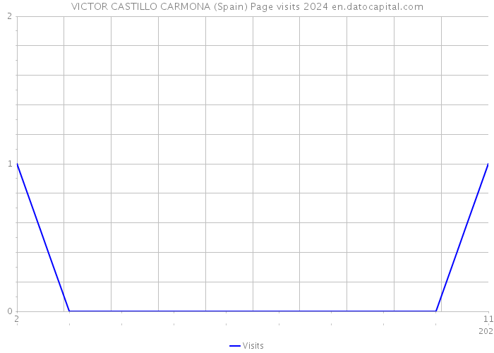 VICTOR CASTILLO CARMONA (Spain) Page visits 2024 