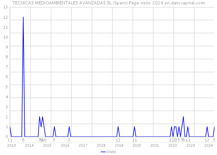 TECNICAS MEDIOAMBIENTALES AVANZADAS SL (Spain) Page visits 2024 