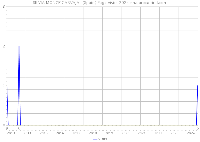 SILVIA MONGE CARVAJAL (Spain) Page visits 2024 