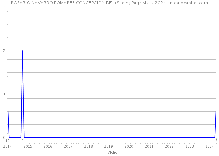 ROSARIO NAVARRO POMARES CONCEPCION DEL (Spain) Page visits 2024 
