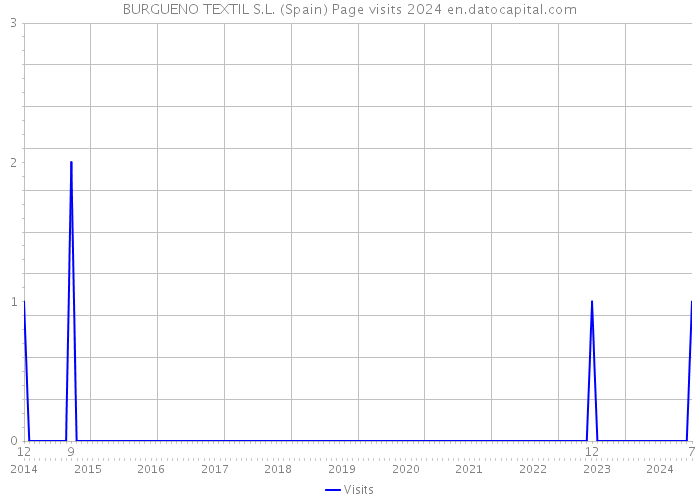 BURGUENO TEXTIL S.L. (Spain) Page visits 2024 