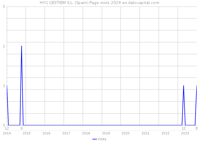 HYG GESTIEM S.L. (Spain) Page visits 2024 