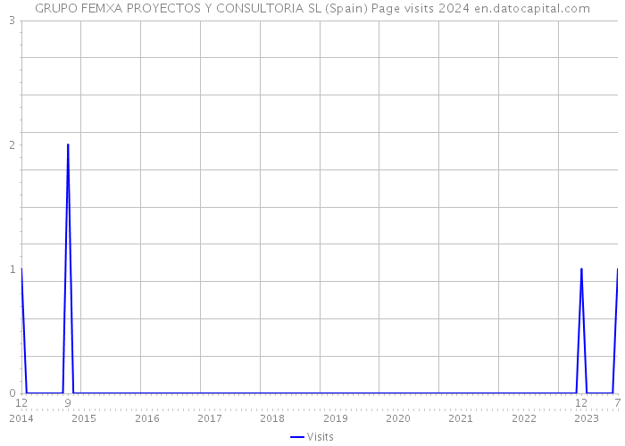 GRUPO FEMXA PROYECTOS Y CONSULTORIA SL (Spain) Page visits 2024 