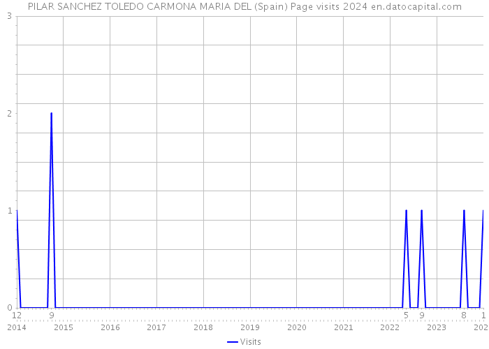 PILAR SANCHEZ TOLEDO CARMONA MARIA DEL (Spain) Page visits 2024 