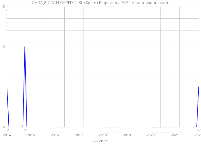 GARAJE GRAN CAPITAN SL (Spain) Page visits 2024 