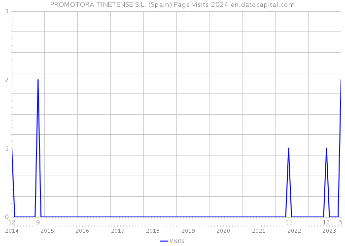 PROMOTORA TINETENSE S.L. (Spain) Page visits 2024 