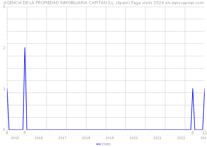 AGENCIA DE LA PROPIEDAD INMOBILIARIA CAPITAN S.L. (Spain) Page visits 2024 