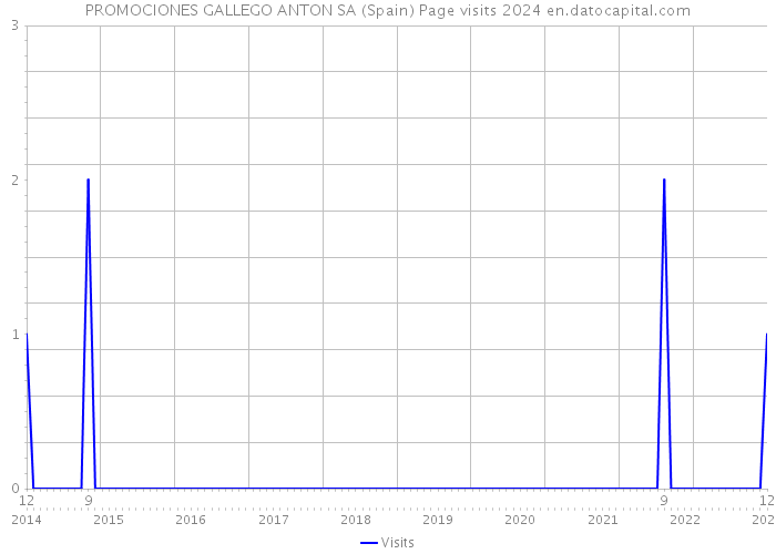 PROMOCIONES GALLEGO ANTON SA (Spain) Page visits 2024 