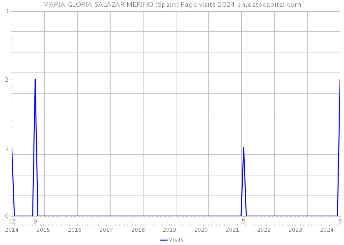 MARIA GLORIA SALAZAR MERINO (Spain) Page visits 2024 