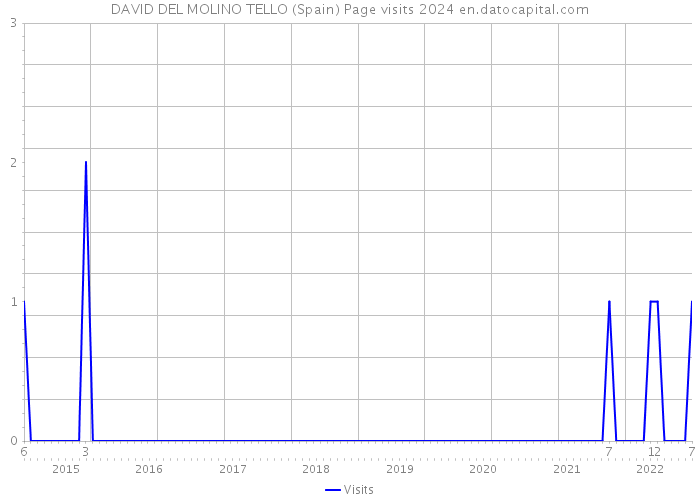 DAVID DEL MOLINO TELLO (Spain) Page visits 2024 