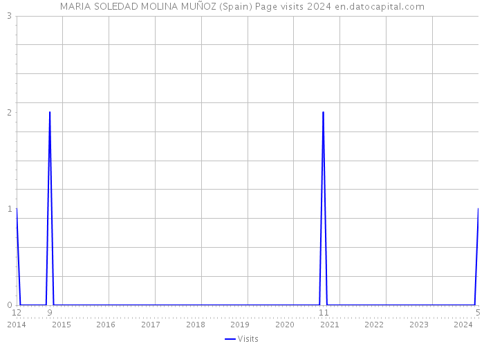 MARIA SOLEDAD MOLINA MUÑOZ (Spain) Page visits 2024 