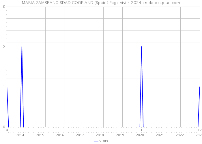 MARIA ZAMBRANO SDAD COOP AND (Spain) Page visits 2024 