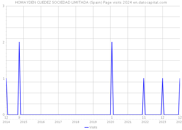 HOMAYDEN GUEDEZ SOCIEDAD LIMITADA (Spain) Page visits 2024 