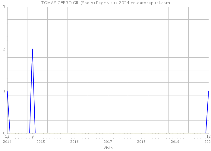 TOMAS CERRO GIL (Spain) Page visits 2024 