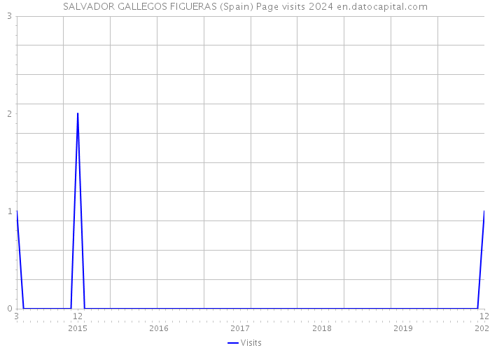 SALVADOR GALLEGOS FIGUERAS (Spain) Page visits 2024 