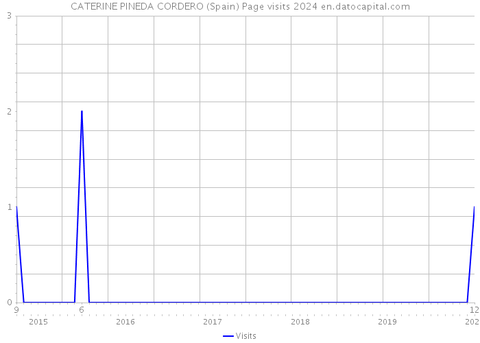 CATERINE PINEDA CORDERO (Spain) Page visits 2024 