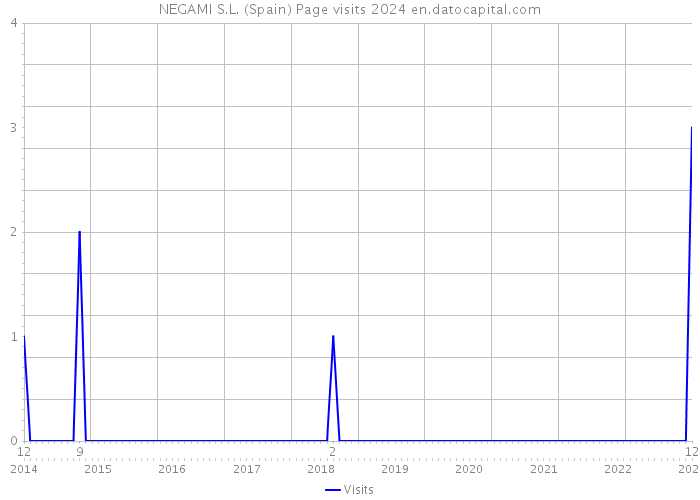 NEGAMI S.L. (Spain) Page visits 2024 