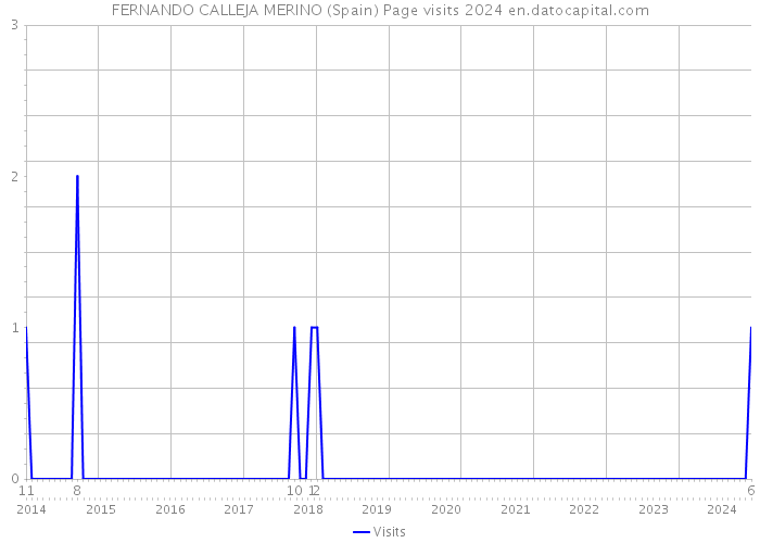 FERNANDO CALLEJA MERINO (Spain) Page visits 2024 