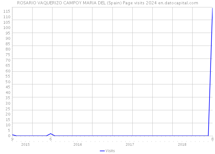 ROSARIO VAQUERIZO CAMPOY MARIA DEL (Spain) Page visits 2024 