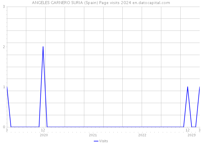 ANGELES GARNERO SURIA (Spain) Page visits 2024 