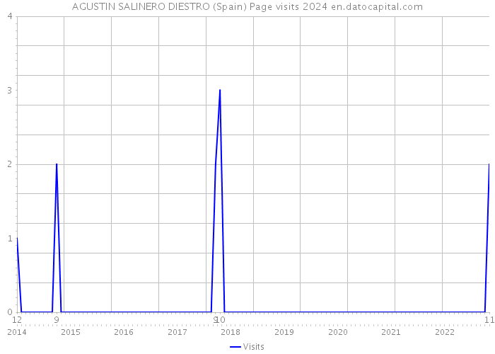 AGUSTIN SALINERO DIESTRO (Spain) Page visits 2024 