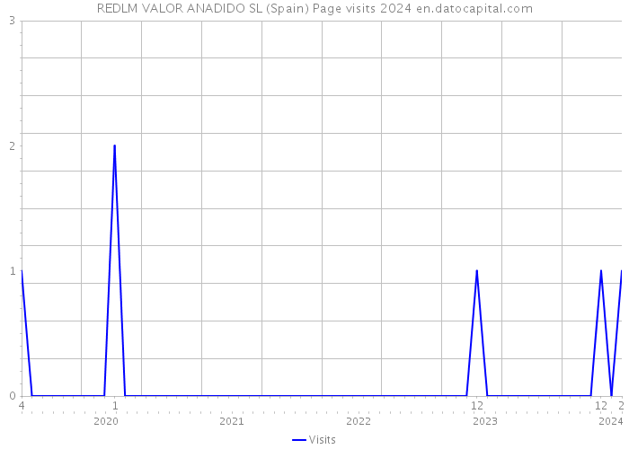 REDLM VALOR ANADIDO SL (Spain) Page visits 2024 