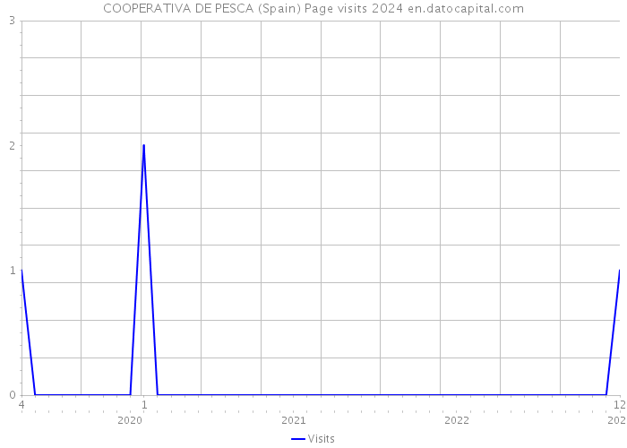 COOPERATIVA DE PESCA (Spain) Page visits 2024 