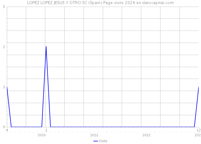 LOPEZ LOPEZ JESUS Y OTRO SC (Spain) Page visits 2024 