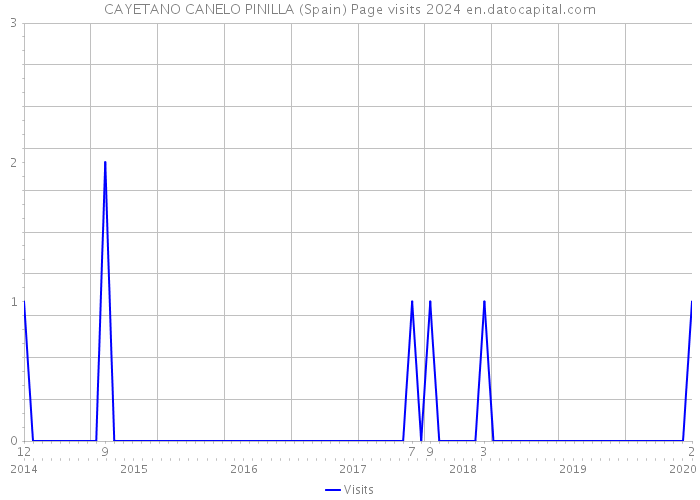 CAYETANO CANELO PINILLA (Spain) Page visits 2024 
