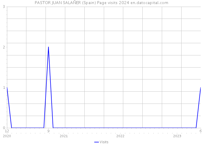 PASTOR JUAN SALAÑER (Spain) Page visits 2024 