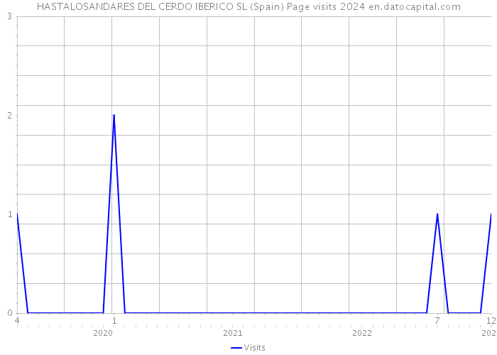 HASTALOSANDARES DEL CERDO IBERICO SL (Spain) Page visits 2024 