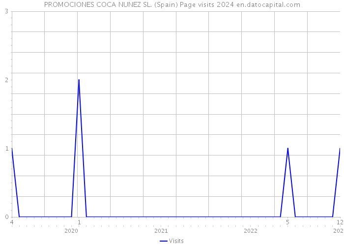 PROMOCIONES COCA NUNEZ SL. (Spain) Page visits 2024 