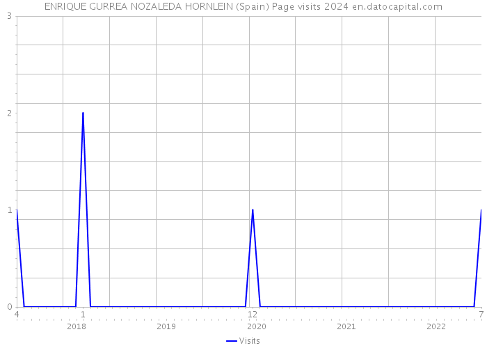 ENRIQUE GURREA NOZALEDA HORNLEIN (Spain) Page visits 2024 
